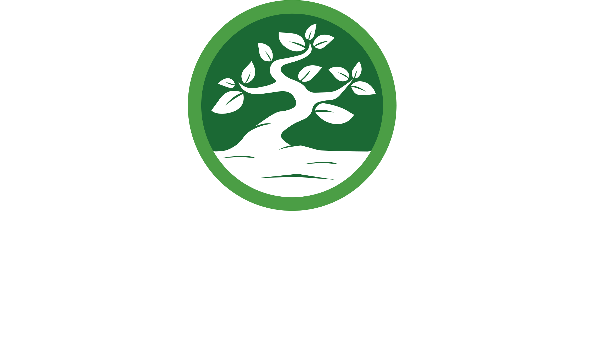 Green N Style Landscape and Daesign